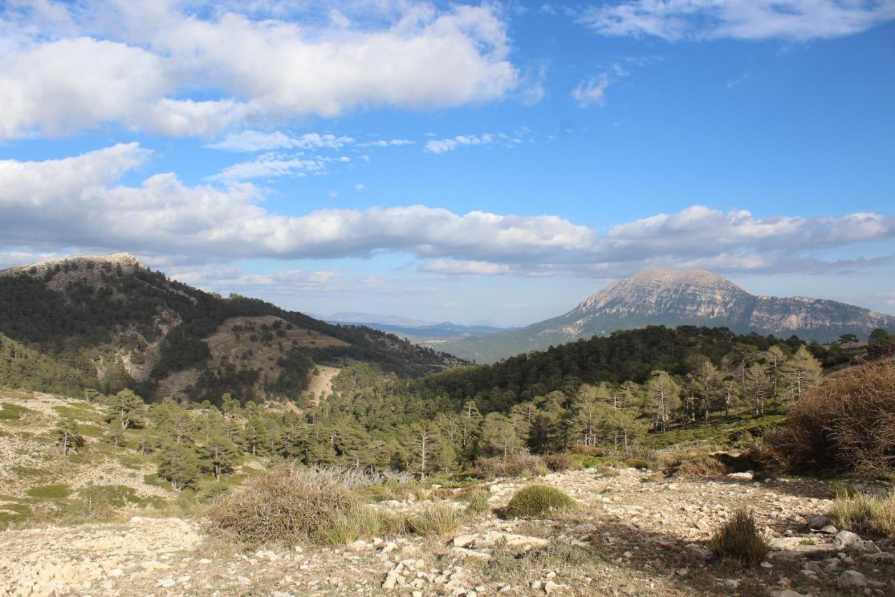La Noguera Casa Rural Уэскар Экстерьер фото