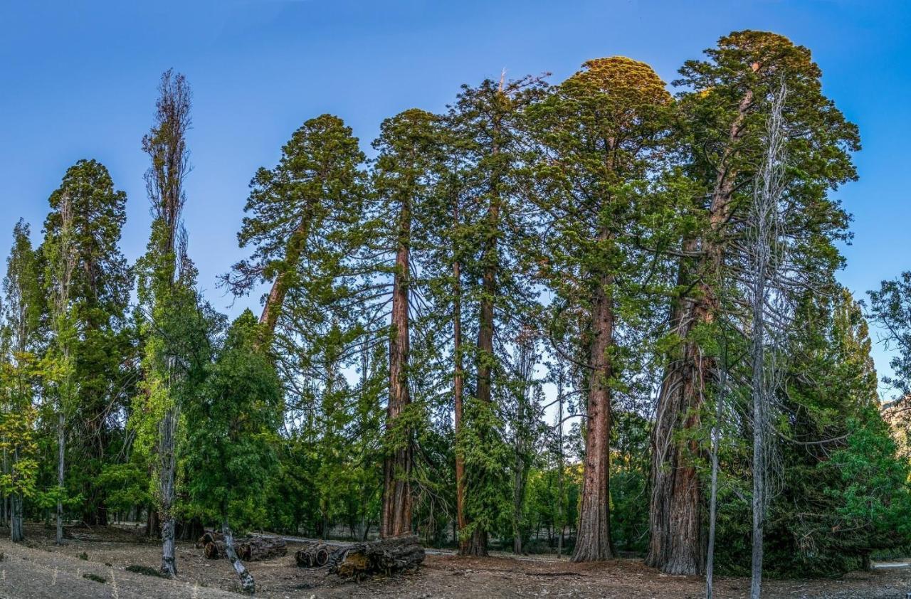 La Noguera Casa Rural Уэскар Экстерьер фото